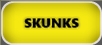 Verminators Skunk Removal Gainesville